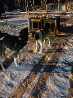 Day 8 – Part 1: “Don’t wear anything you don’t want covered in poo”