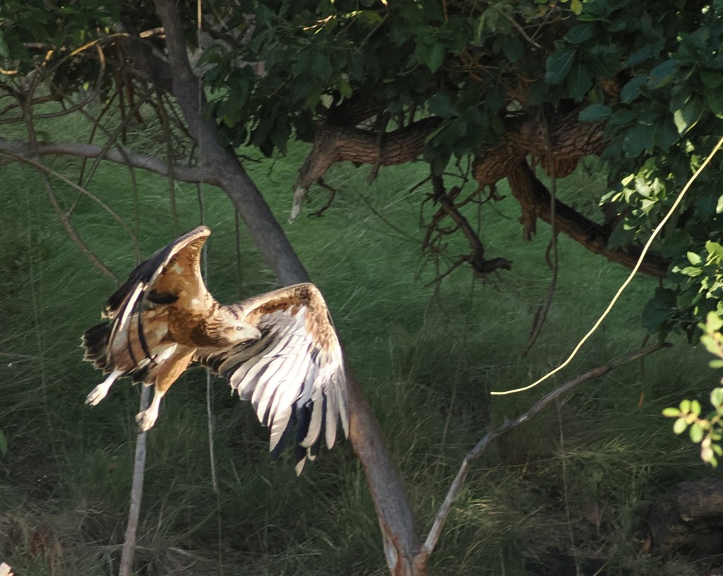 Exploring Batu Moncho and Golden Passage